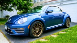 silk blue beetle.jpg